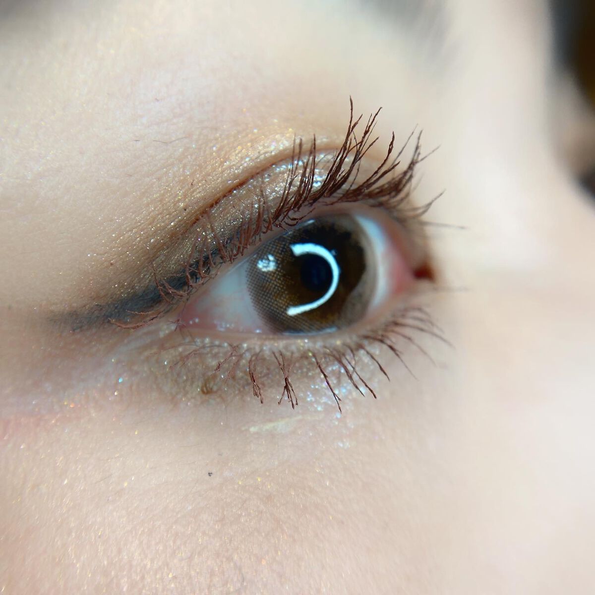 エクスプローラ12色 動物アイシャドウパレット/PERFECT DIARY/アイシャドウパレットを使ったクチコミ(6枚目)