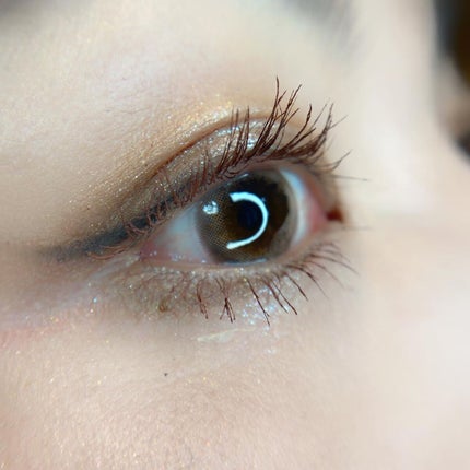 エクスプローラ12色 動物アイシャドウパレット/PERFECT DIARY/アイシャドウパレットを使ったクチコミ(6枚目)