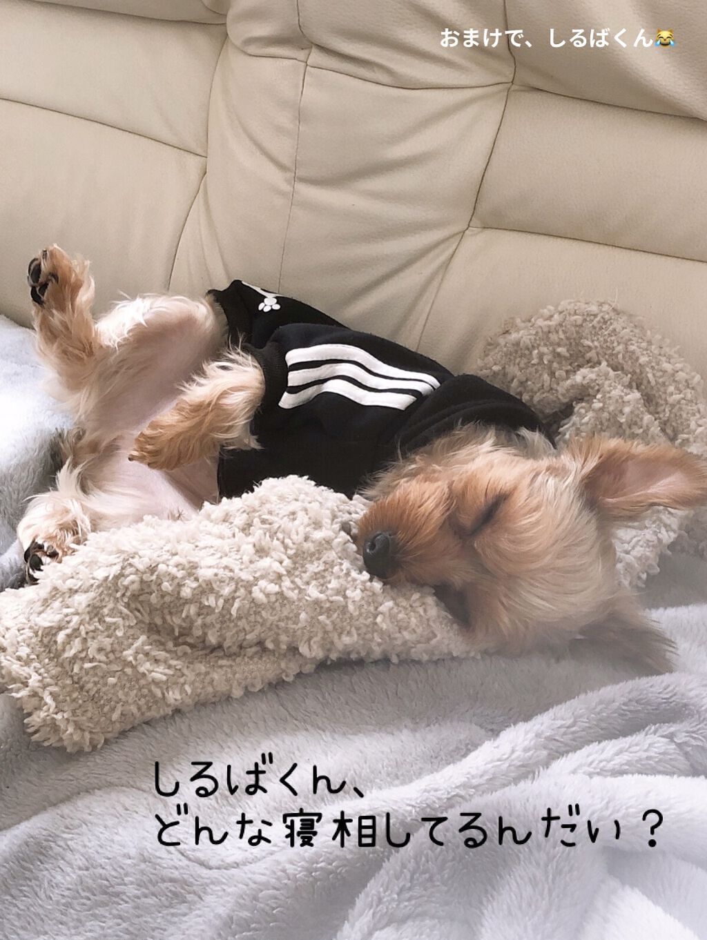 クリニーク ポップ 05 メロン ポップ/CLINIQUE/口紅を使ったクチコミ（3枚目）