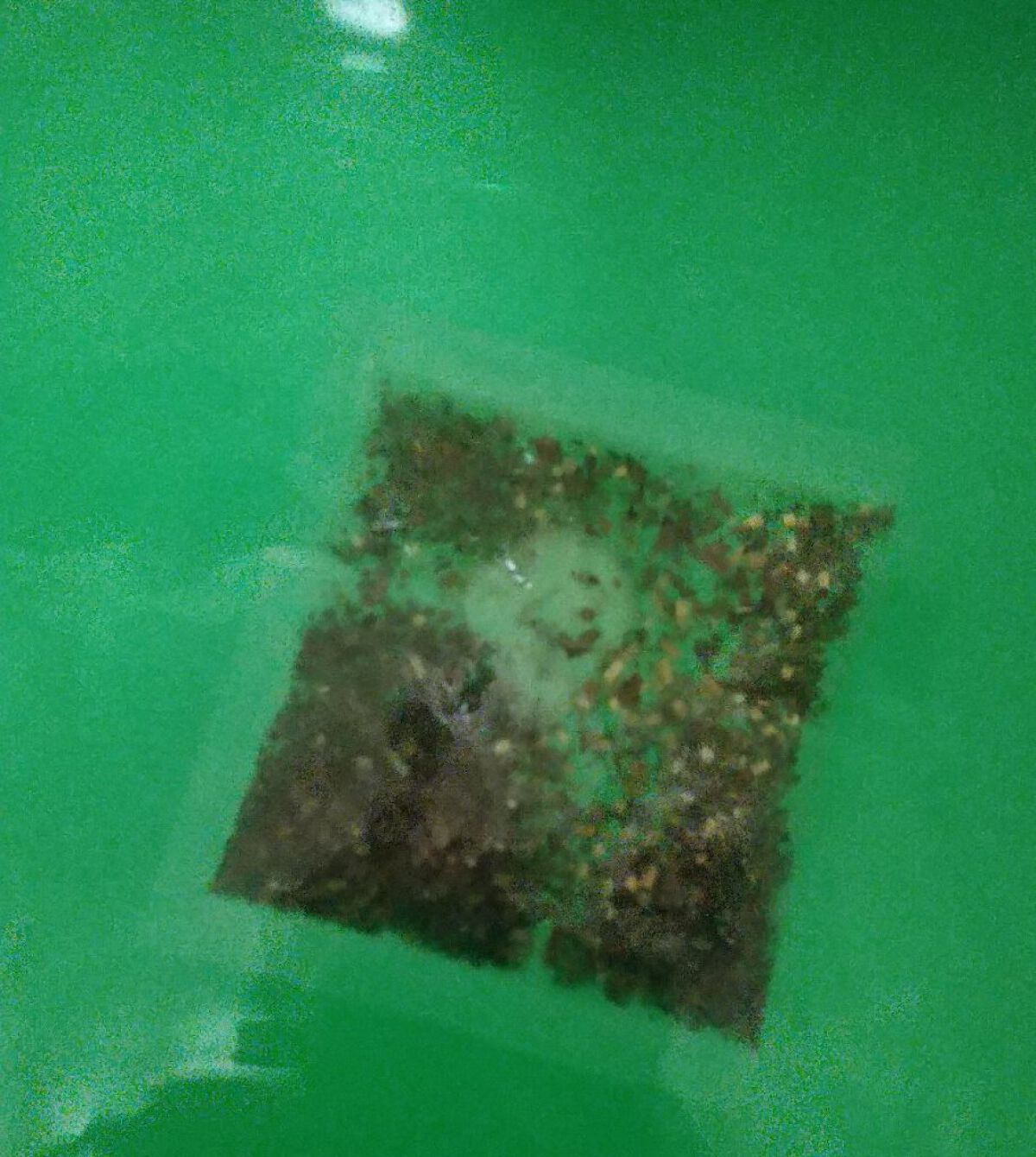 空想バスルーム 緑の森に舞い降りて/charley/無機塩系入浴剤を使ったクチコミ（3枚目）