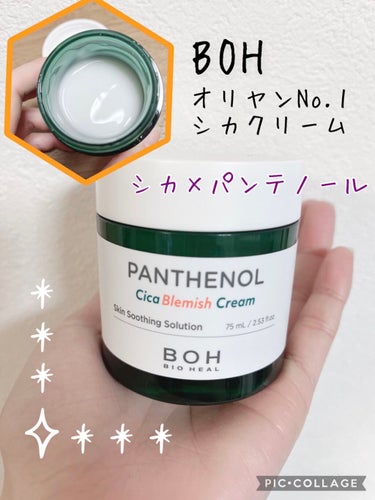 ダーマインテンシブシカパンテノールブラミッシュクリーム/BIO HEAL BOH/フェイスクリームを使ったクチコミ（1枚目）