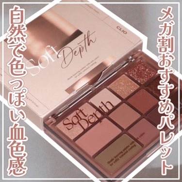 シェード アンド シャドウ パレット 02 SOFT DEPTH/CLIO/パウダーアイシャドウを使ったクチコミ（1枚目）