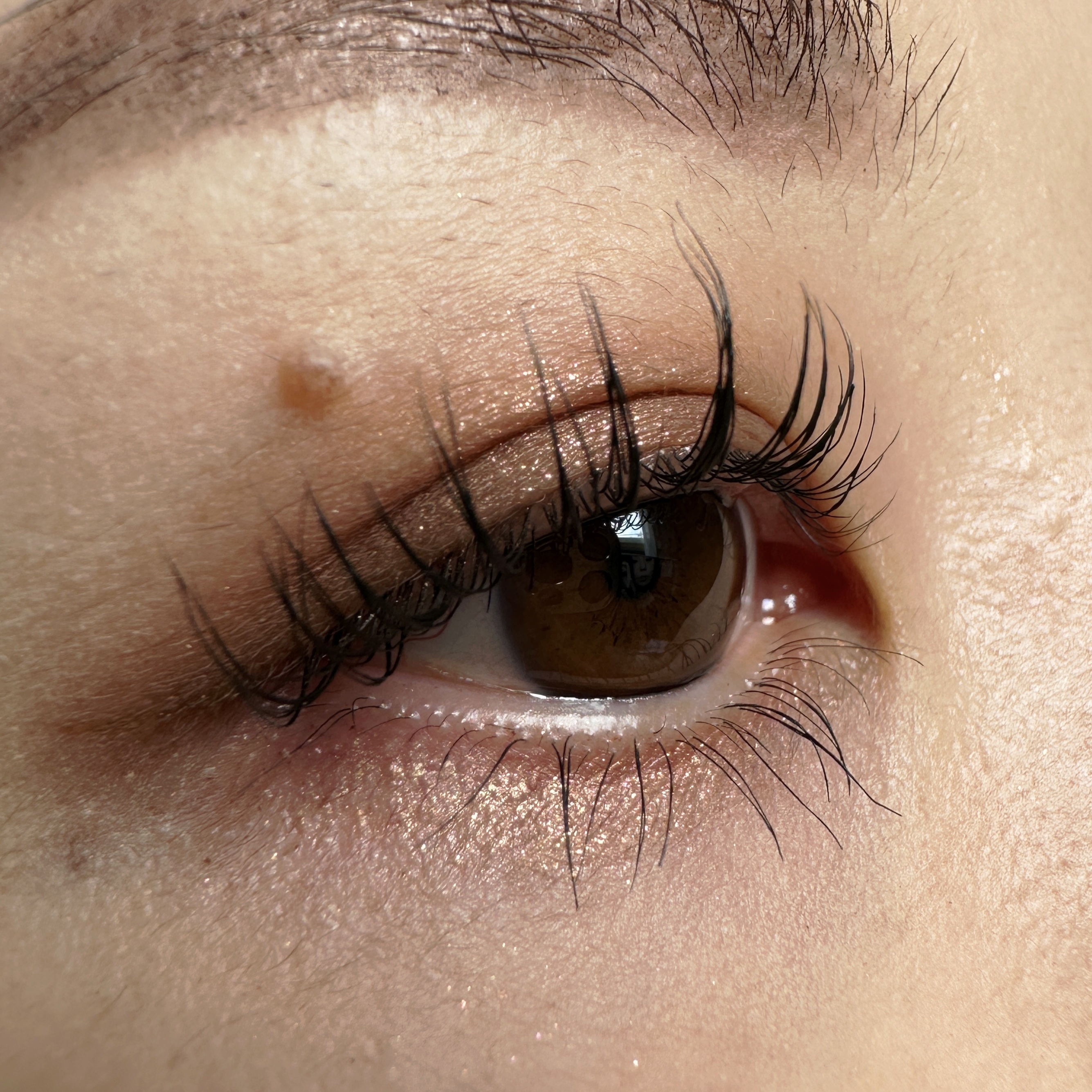 パーフェクトエクステンション マスカラ/D-UP/マスカラを使ったクチコミ（2枚目）