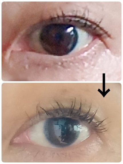 エルファー マスカラよみガエル/DAISO/その他化粧小物を使ったクチコミ(3枚目)