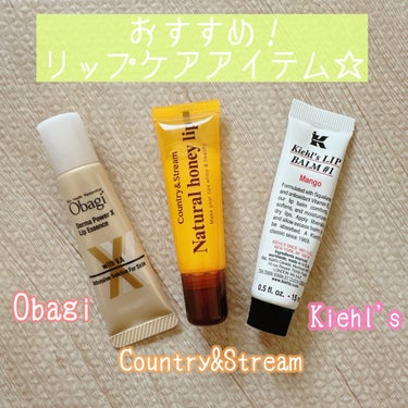 キールズ リップ バーム No.1/Kiehl's/リップケア・リップクリームを使ったクチコミ（1枚目）