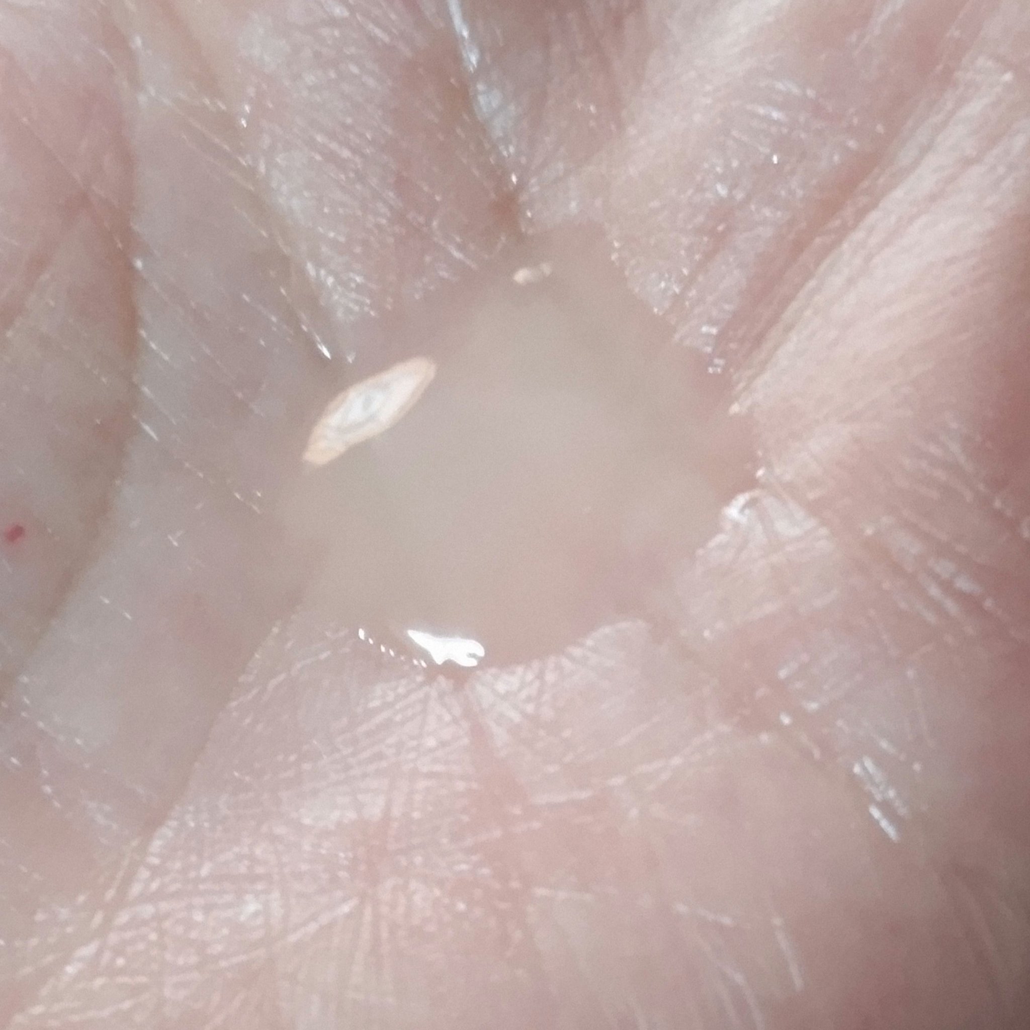 ホワイトロジスト　ネオジェネシス　ブライトニング コンセントレイト/DECORTÉ/美容液を使ったクチコミ（3枚目）