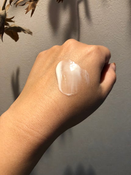 モリンガ セラミド コラーゲン エンリッチド モイスチャライザー/heimish/乳液を使ったクチコミ(4枚目)