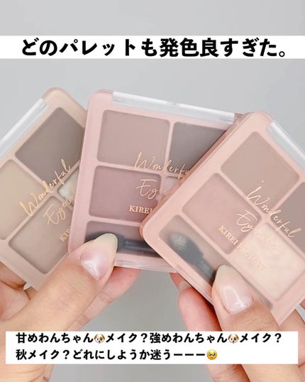 わんだふるアイカラー/KIREI FACTORY/アイシャドウパレットを使ったクチコミ(10枚目)
