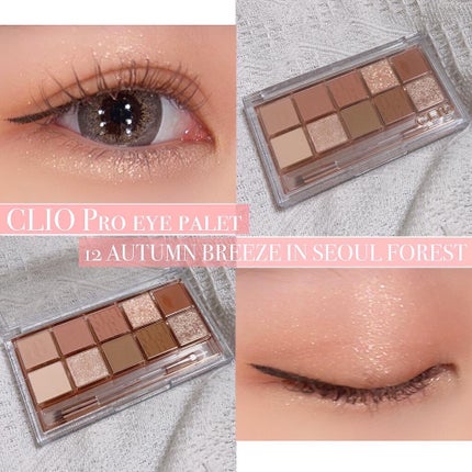 プロ アイ パレット/CLIO/アイシャドウパレットを使ったクチコミ(1枚目)