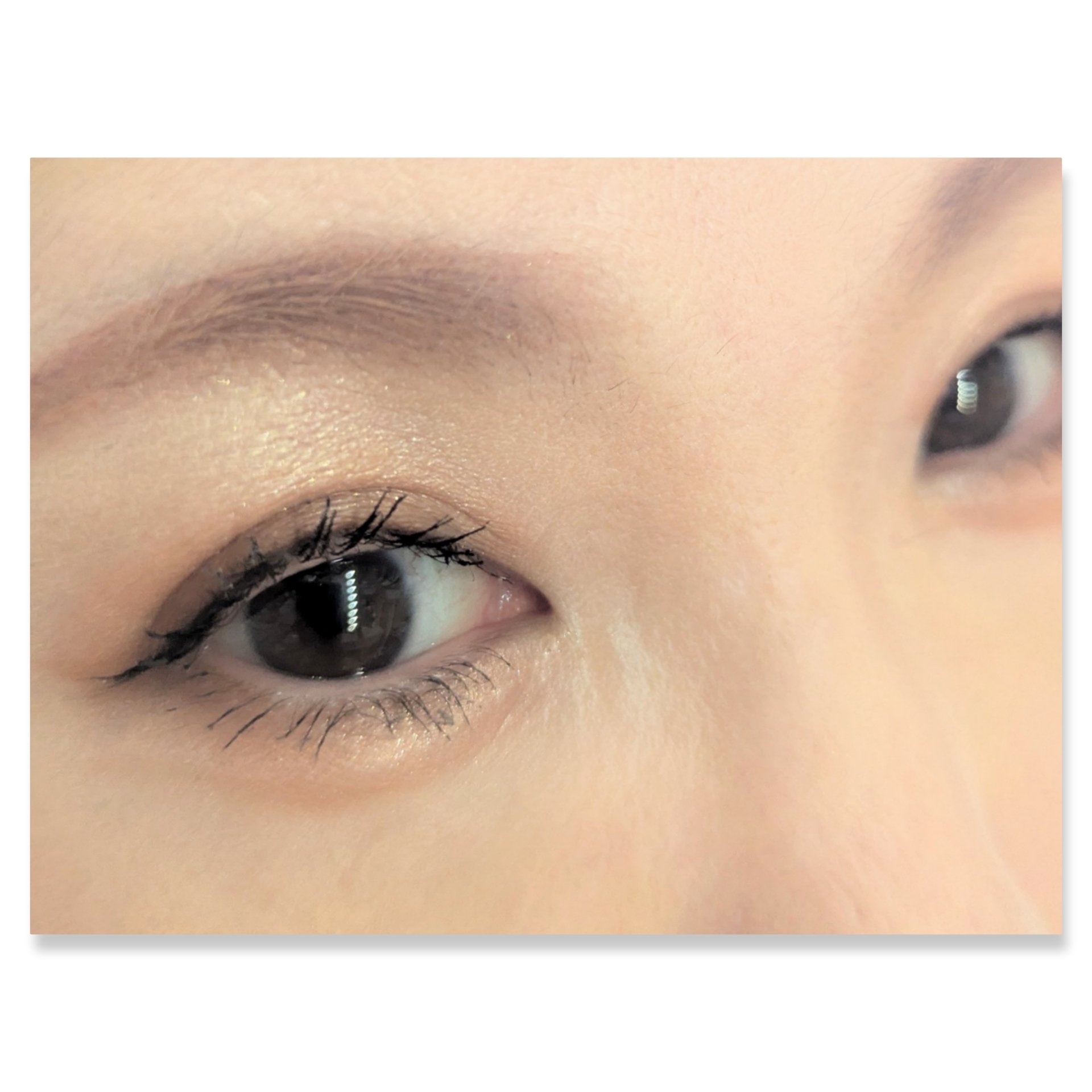 パノラマデザイン アイパレット/Visée/アイシャドウパレットを使ったクチコミ（2枚目）