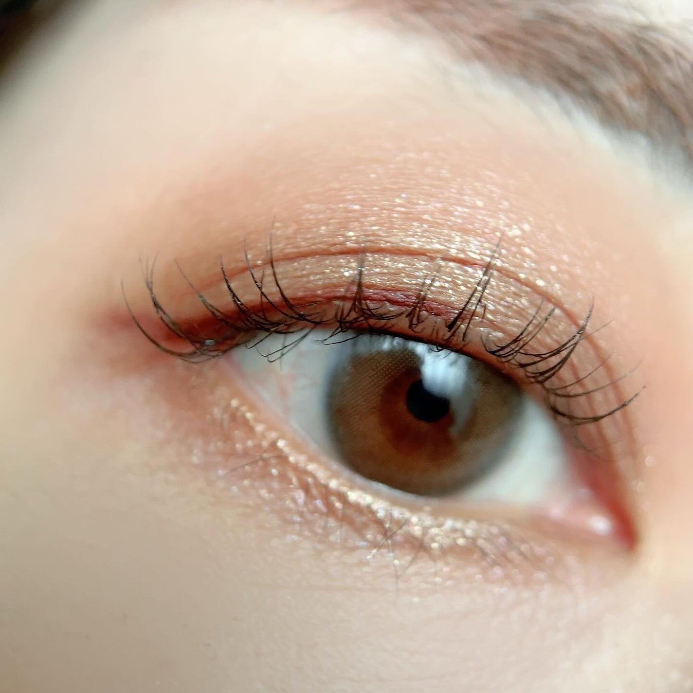 アイカラーレーション/LUNASOL/アイシャドウパレットを使ったクチコミ(3枚目)