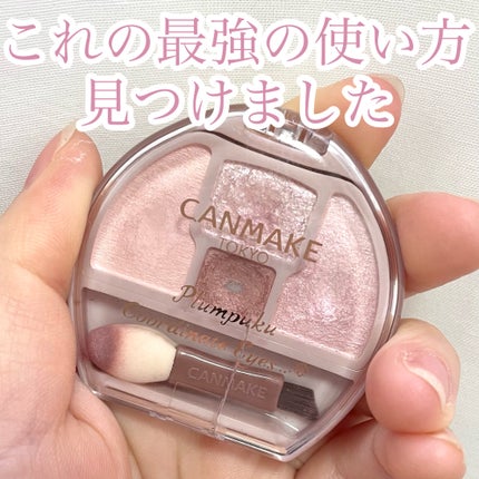 プランぷくコーデアイズ/キャンメイク/パウダーアイシャドウを使ったクチコミ(1枚目)
