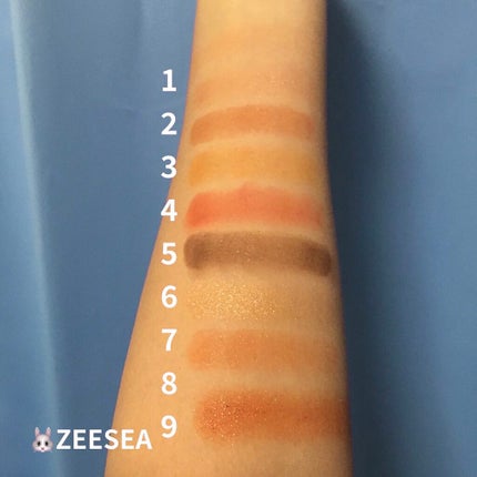 パーフェクトマルチアイズ/キャンメイク/アイシャドウパレットを使ったクチコミ(5枚目)