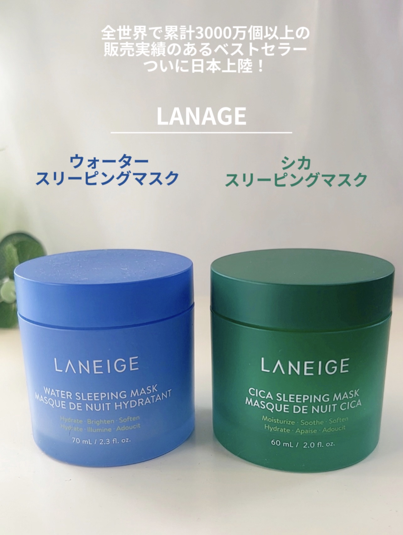 シカスリーピングマスク/LANEIGE/フェイスクリームを使ったクチコミ（2枚目）