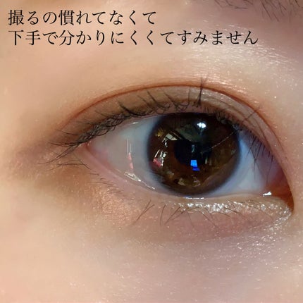 タルトレット E アマゾニアンクレイ パレット/tarte/アイシャドウパレットを使ったクチコミ(7枚目)