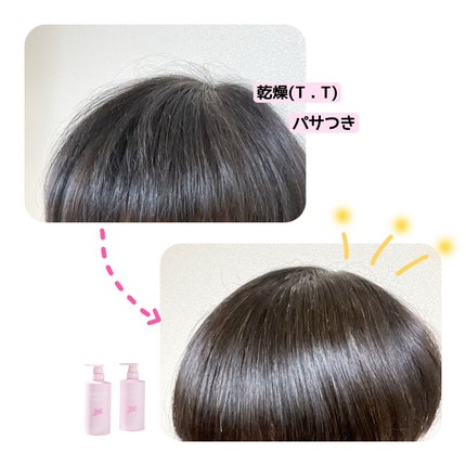 GLOSSY COAT SHAMPOO / TREATMENT/SANUS HAIR FILTER/市販シャンプーを使ったクチコミ(8枚目)