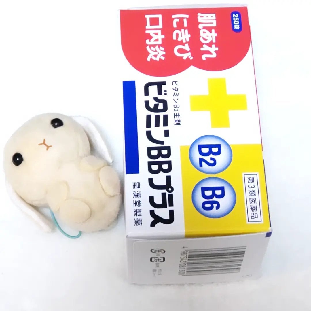 ビタミンBBプラス「クニヒロ」(医薬品)/皇漢堂製薬/その他を使ったクチコミ(1枚目)