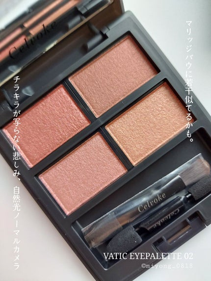 セルヴォーク ヴァティック アイパレット/Celvoke/アイシャドウパレットを使ったクチコミ(2枚目)