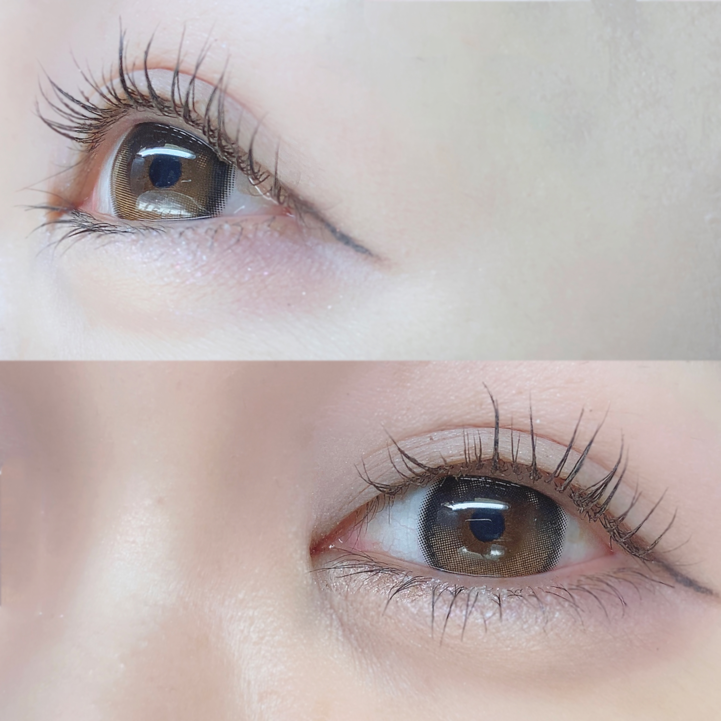 Glowy 1day/OLENS/ワンデー（１DAY）カラコンを使ったクチコミ（3枚目）