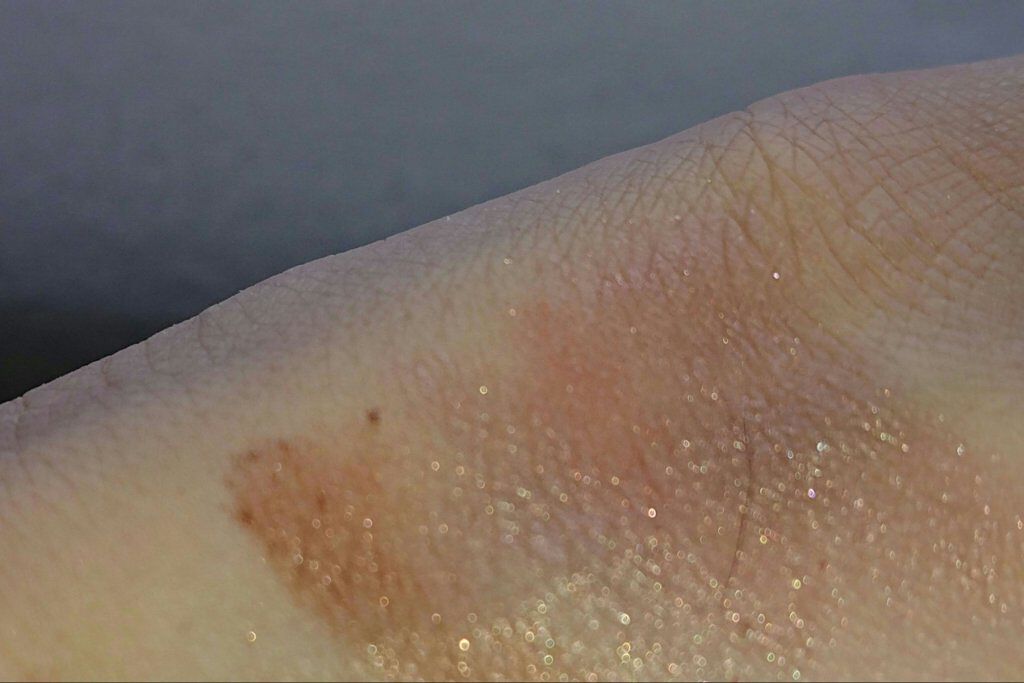 エレガンス ヌーヴェル アイズ/Elégance/アイシャドウパレットを使ったクチコミ（3枚目）