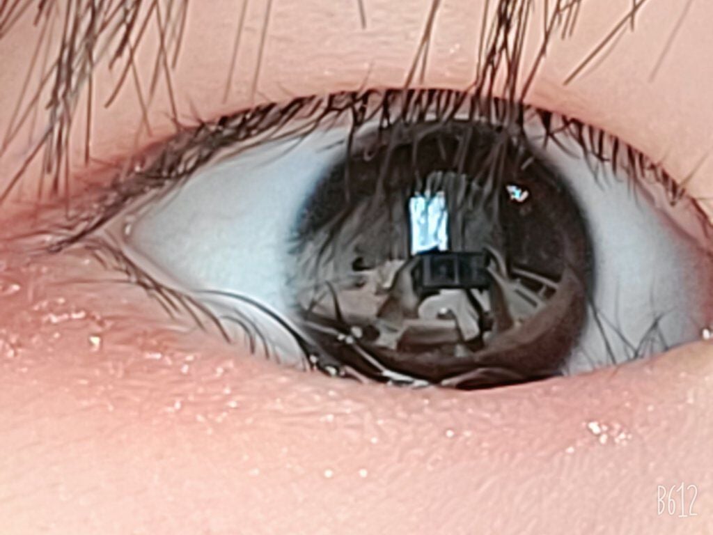 プロ アイ パレット/CLIO/アイシャドウパレットを使ったクチコミ(1枚目)