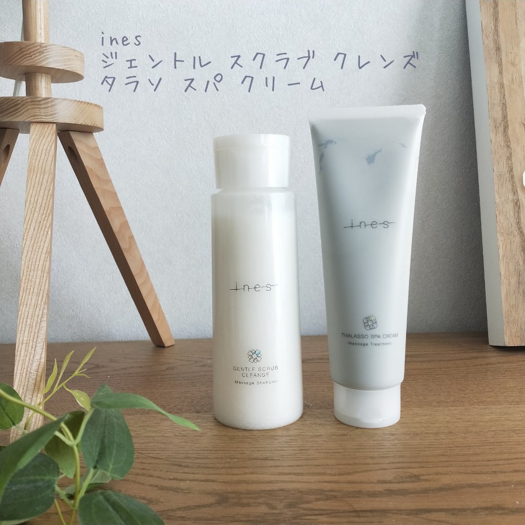 ジェントル スクラブ クレンズ/ines/市販シャンプーを使ったクチコミ（1枚目）