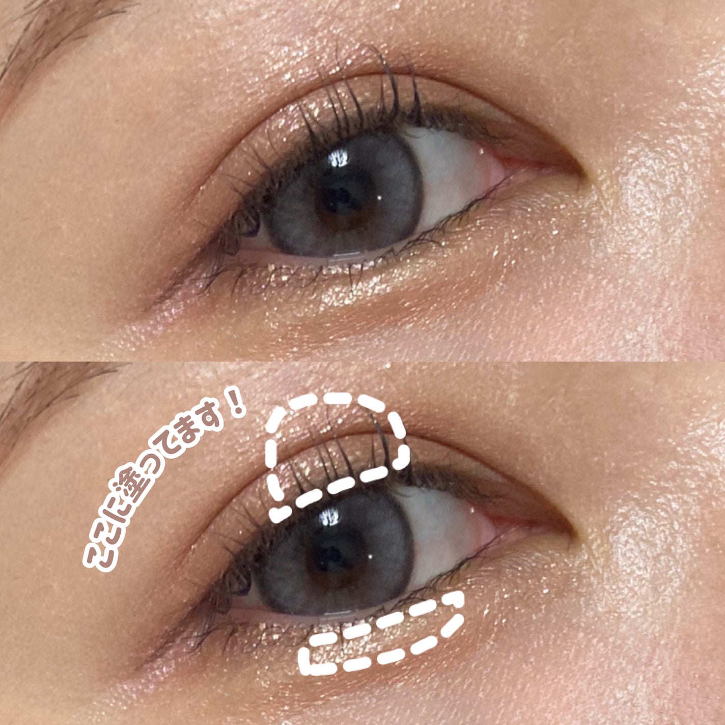 シングルシャイニーアイシャドウ/CEZANNE/アイシャドウを使ったクチコミ(5枚目)