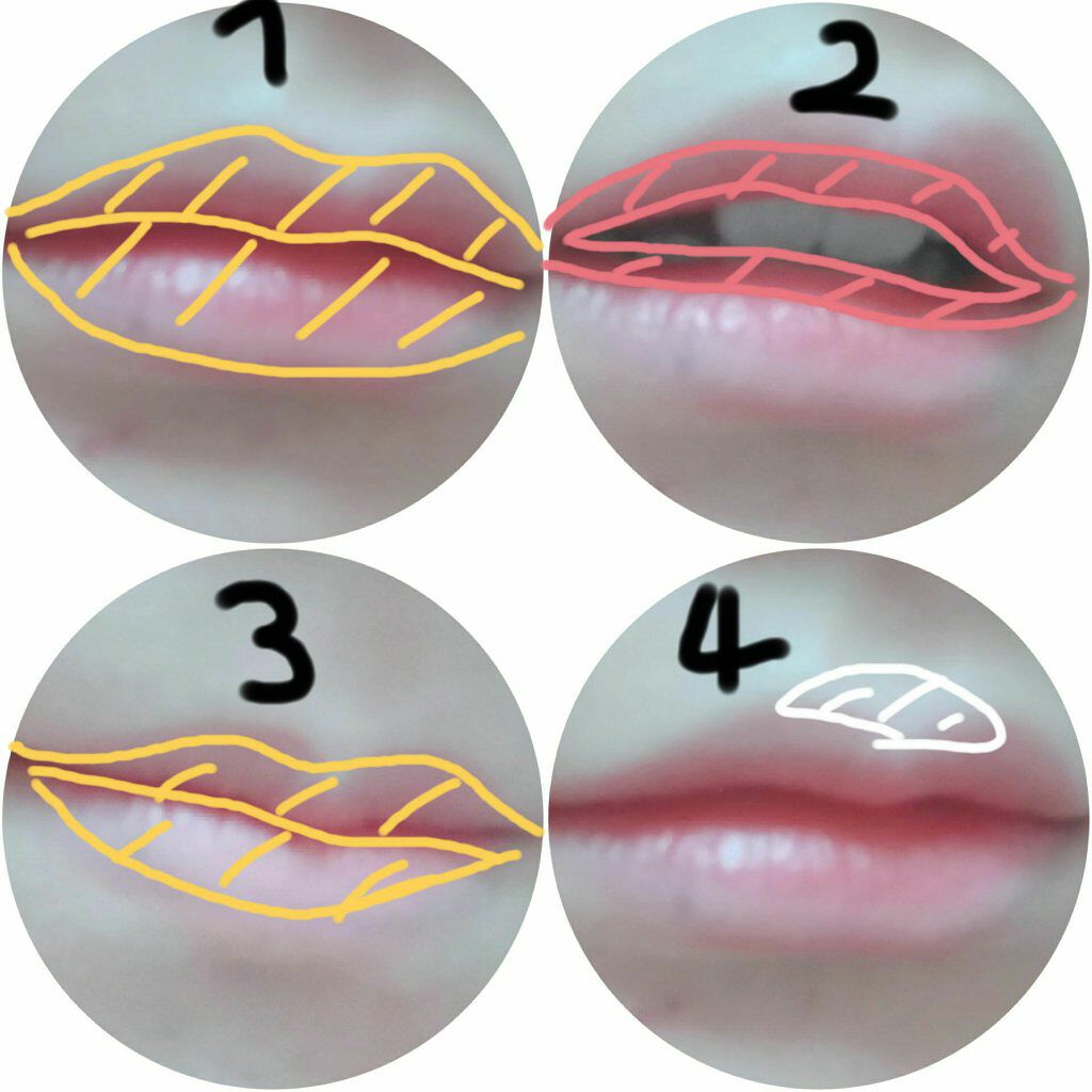 ãããð on LIPS ã仿¥ã¯ãå
åŽããèããªã£ãŠãã£ãŠãã°ã©ããŒã·ã§ã³ã®åã®ããæ¹ã..ãïŒ4æç®ïŒ