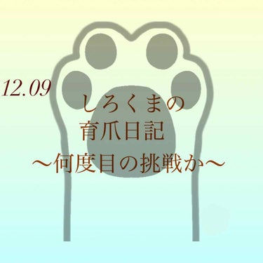 育爪記録
こんにちは、しろくまです🧸

しろくま、現在史上最高に爪伸ばせてます🤭

奇跡。

順調にネイルベッドも伸びてきて、

今までの爪本当に醜かったなあって悲しくもなったり、、。

まだまだ理想の