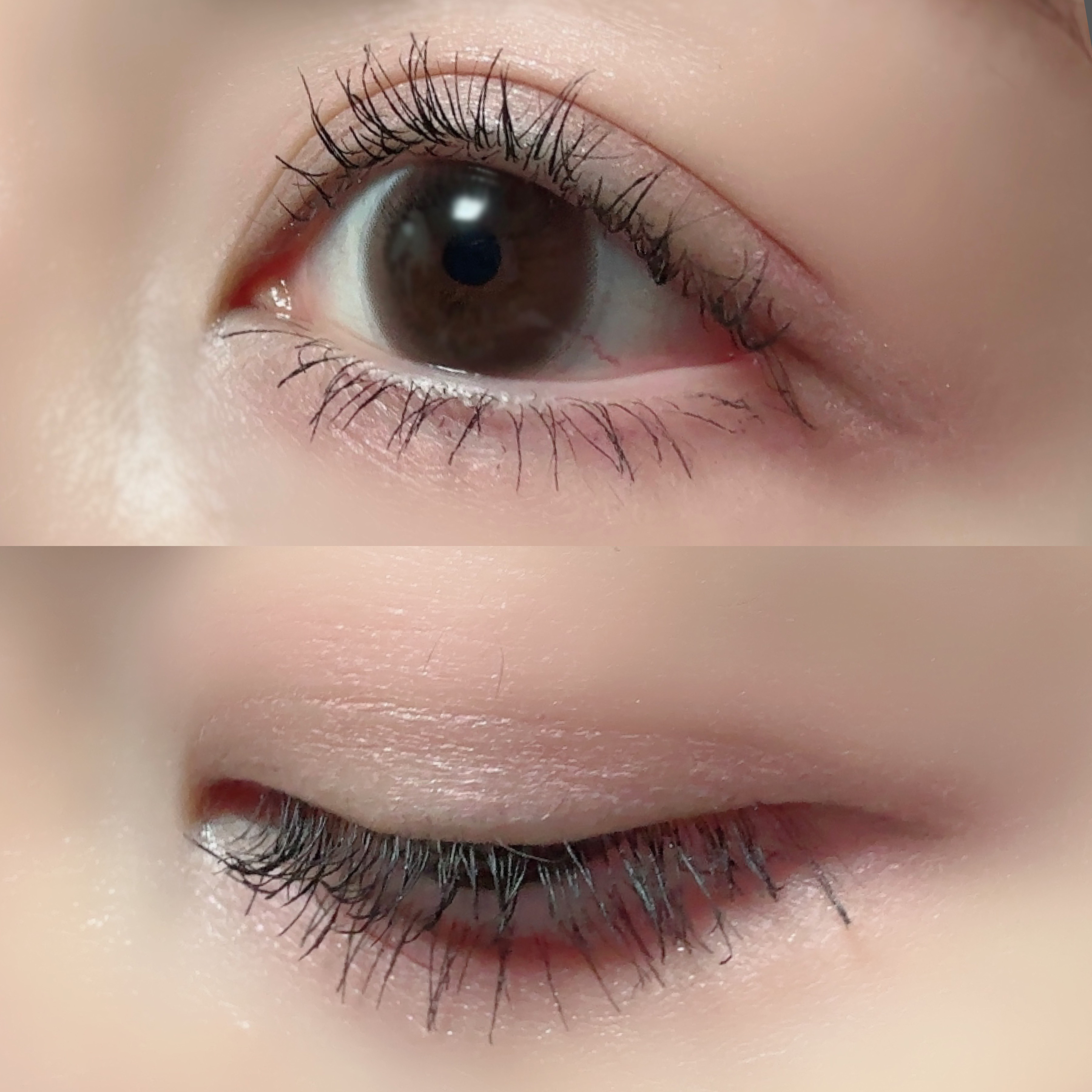 まつパ級 フィルム マスカラ (ロング&ボリューム)/FASIO/マスカラを使ったクチコミ（2枚目）