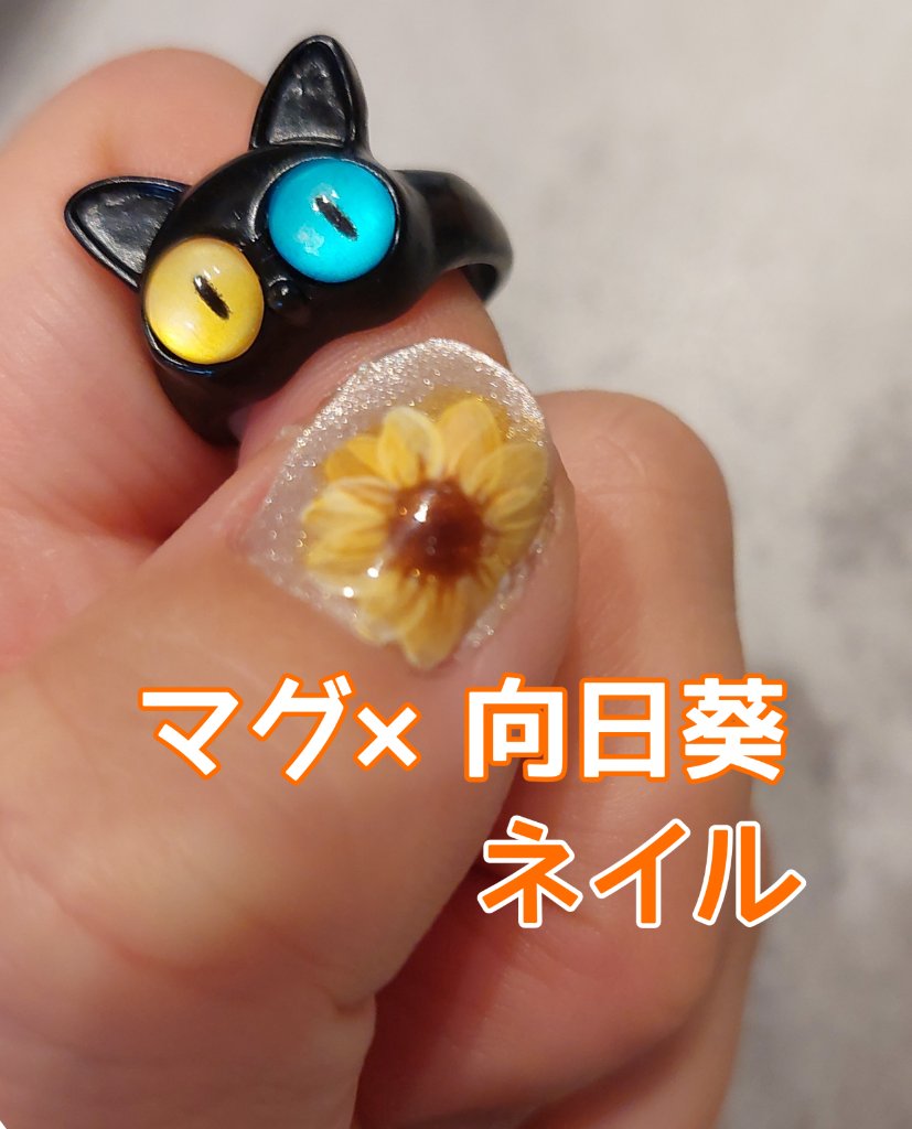 プリジェル カラーEX 白/プリジェル/ジェルネイルを使ったクチコミ（1枚目）