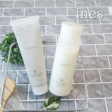 ジェントル スクラブ クレンズ/ines/市販シャンプーを使ったクチコミ(4枚目)