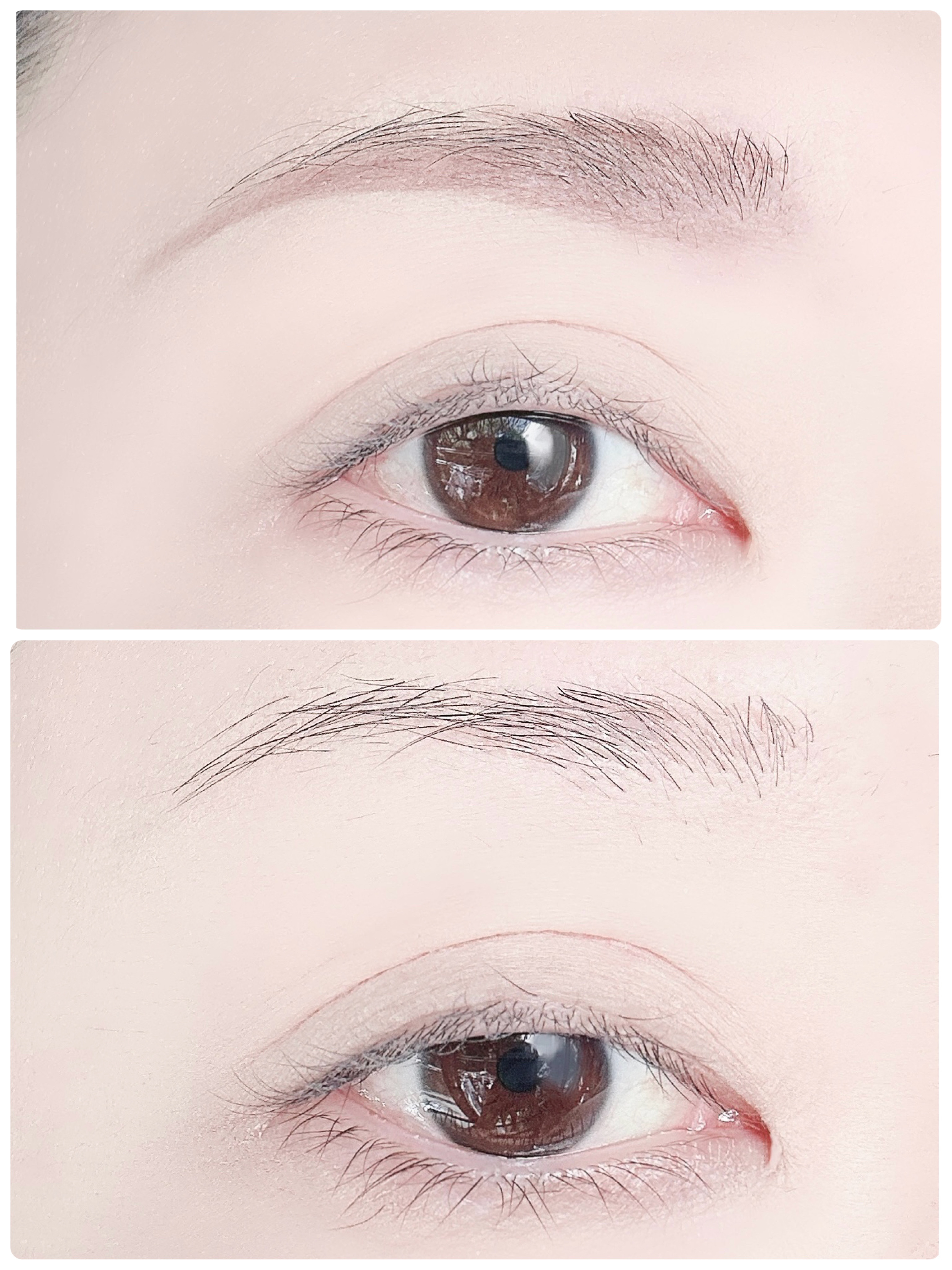 W アイブロウ (リキッド＆パウダー)/ESPRIQUE/リキッドアイブロウを使ったクチコミ（3枚目）