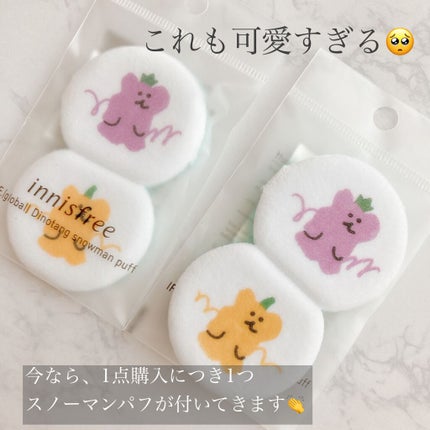 ノーセバム ミネラルパウダー LTD21/innisfree/ルースパウダーを使ったクチコミ(3枚目)