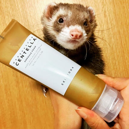 センテラ アンプルフォーム/SKIN1004/洗顔フォームを使ったクチコミ(1枚目)