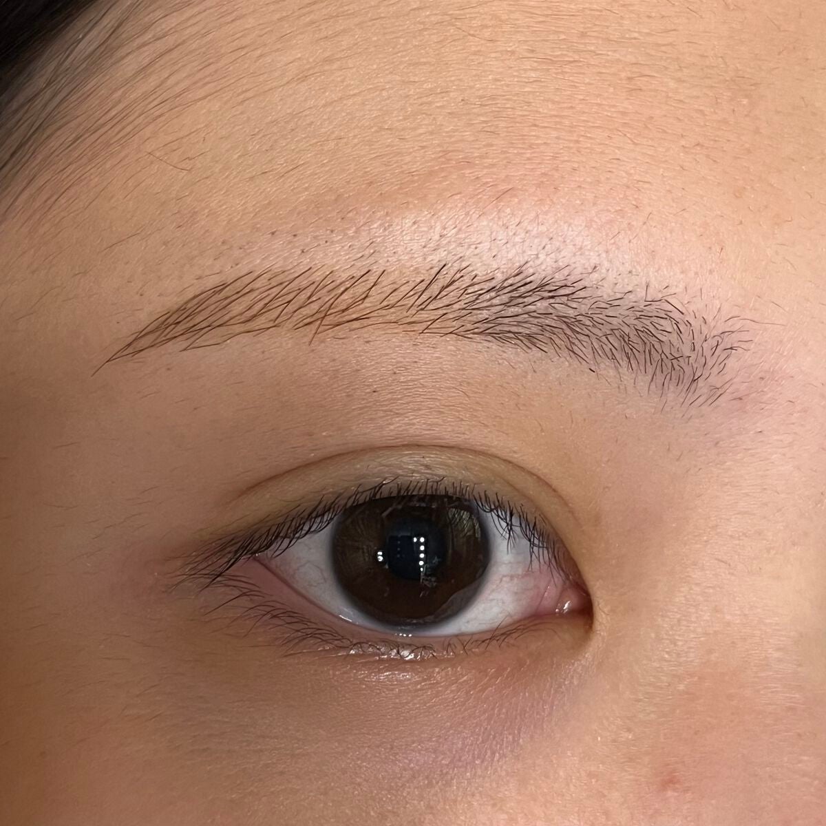 書き足し眉ティントSV /Fujiko/眉ティントを使ったクチコミ(4枚目)