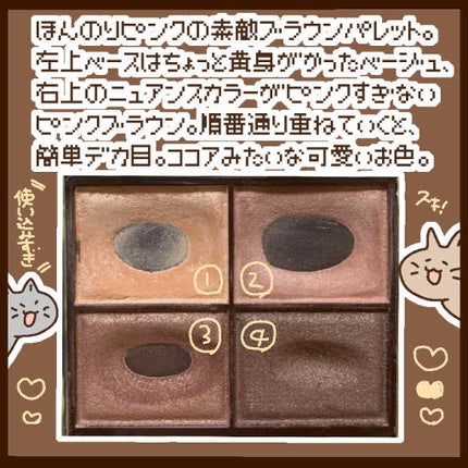 スキニーリッチシャドウ/excel/アイシャドウパレットを使ったクチコミ(2枚目)