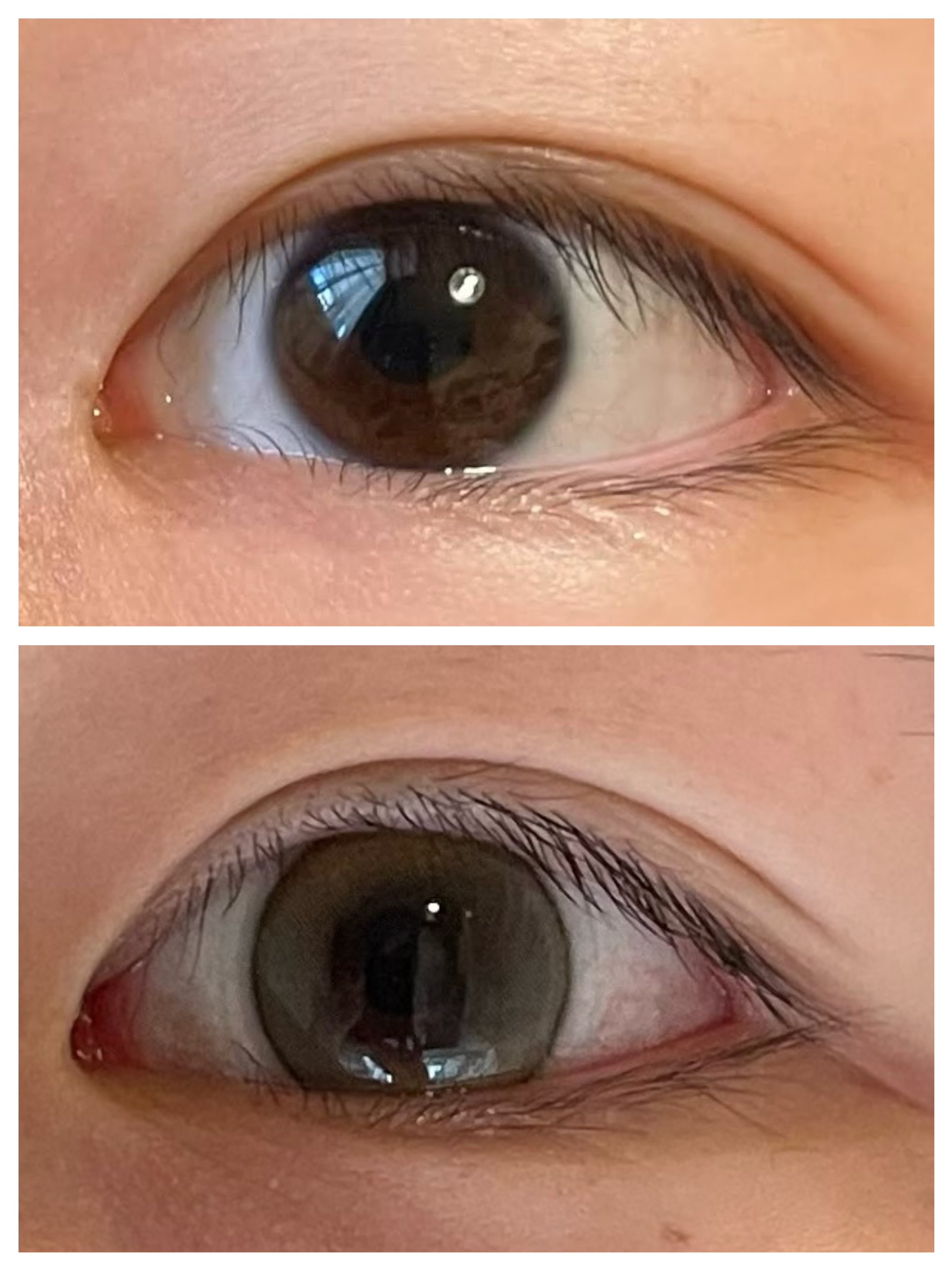 courage 1day Bell Beige-ベル ベージュ-/courage/ワンデー（１DAY）カラコンを使ったクチコミ（2枚目）