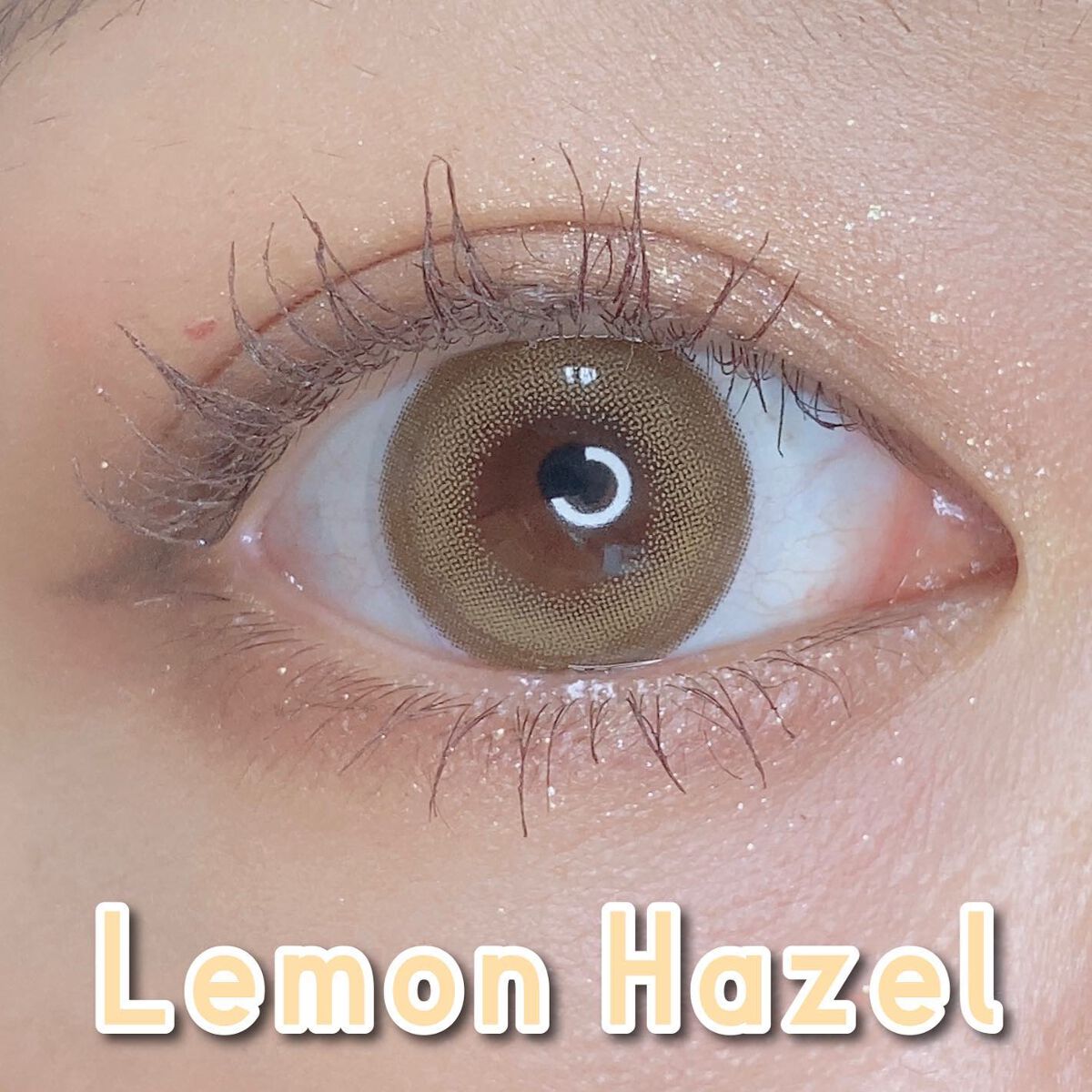 Angelcolor Bambi Series 1day /AngelColor/ワンデー(1DAY)カラコンを使ったクチコミ(4枚目)