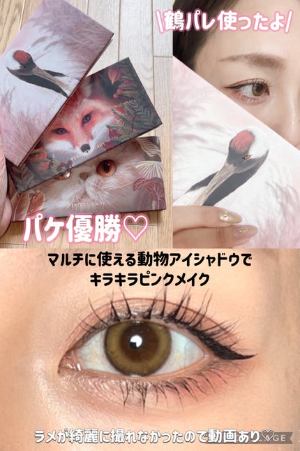エクスプローラ12色 動物アイシャドウパレット/PERFECT DIARY/アイシャドウパレットを使ったクチコミ(1枚目)