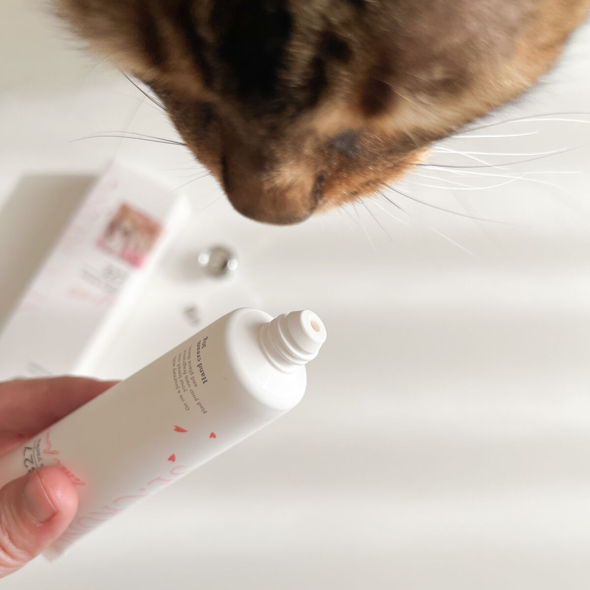 ハンドクリーム アルカナヤエカ327 /SE:CRUNO/ハンドクリームを使ったクチコミ（2枚目）