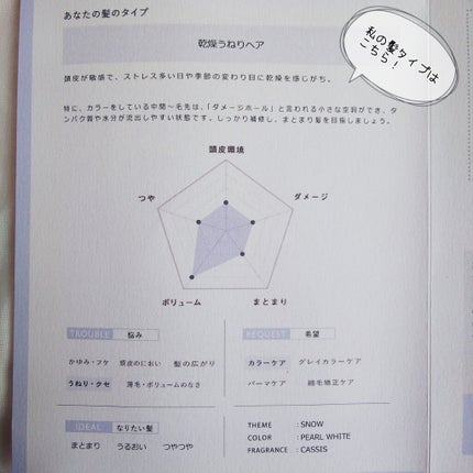 SHAMPOO & REPAIR/MEDULLA/市販シャンプーを使ったクチコミ(5枚目)