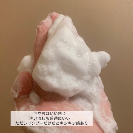 オイルインシャンプー/オイルインコンディショナー (グロス&リペア)/ディアボーテ/市販シャンプーを使ったクチコミ(3枚目)