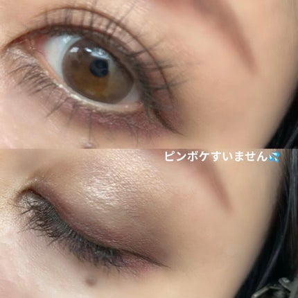 ロイヤルヴィンテージ アイズ/リンメル ロンドン/アイシャドウパレットを使ったクチコミ(2枚目)