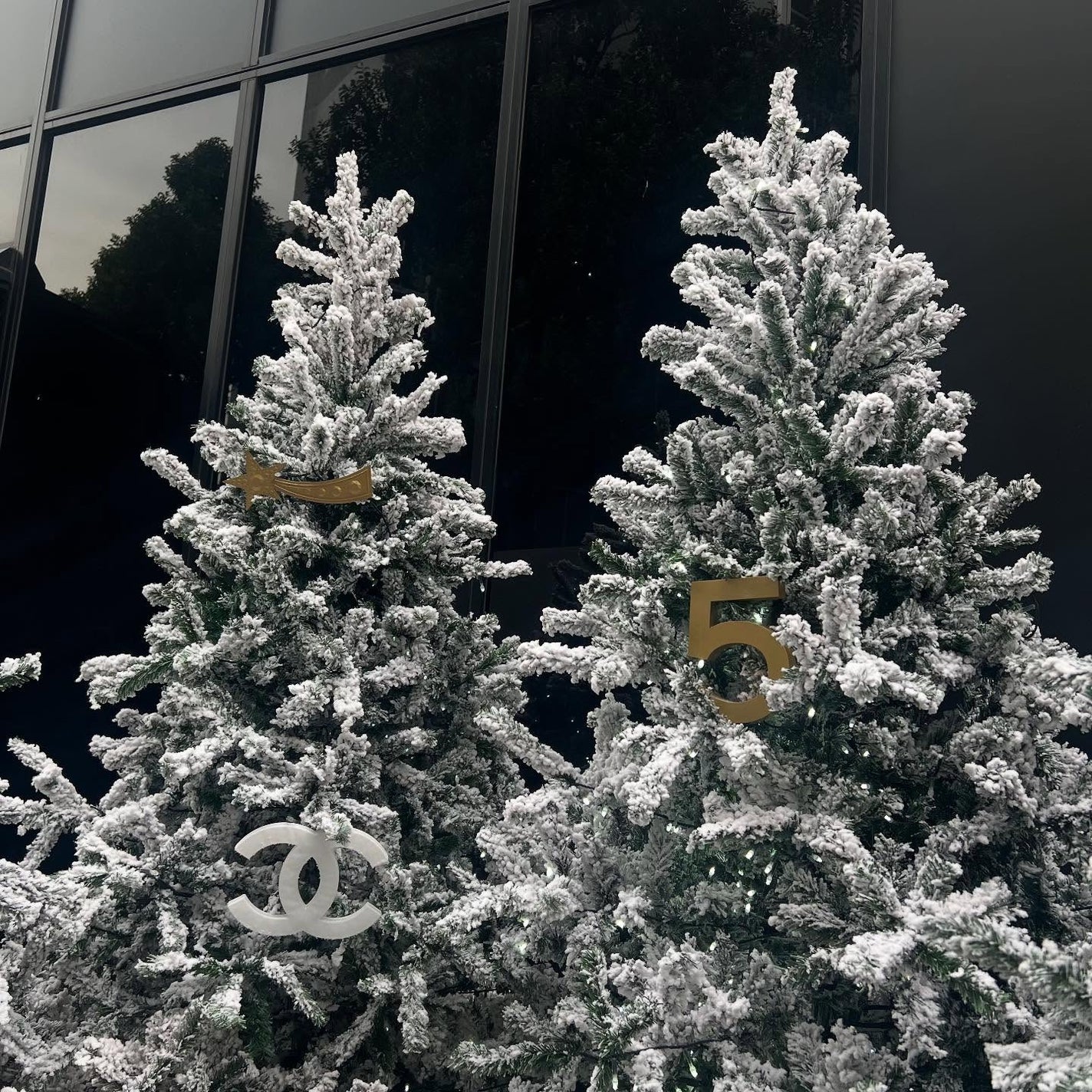 セラム N°1 ドゥ シャネル/CHANEL/美容液を使ったクチコミ(5枚目)