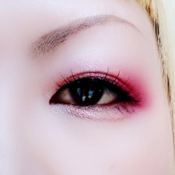 エクスプローラ12色 動物アイシャドウパレット/PERFECT DIARY/アイシャドウパレットを使ったクチコミ(5枚目)