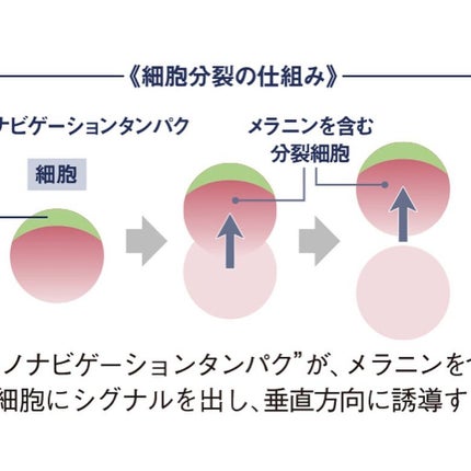 ドレススノー ローション【医薬部外品】 /アテニア/化粧水を使ったクチコミ(3枚目)