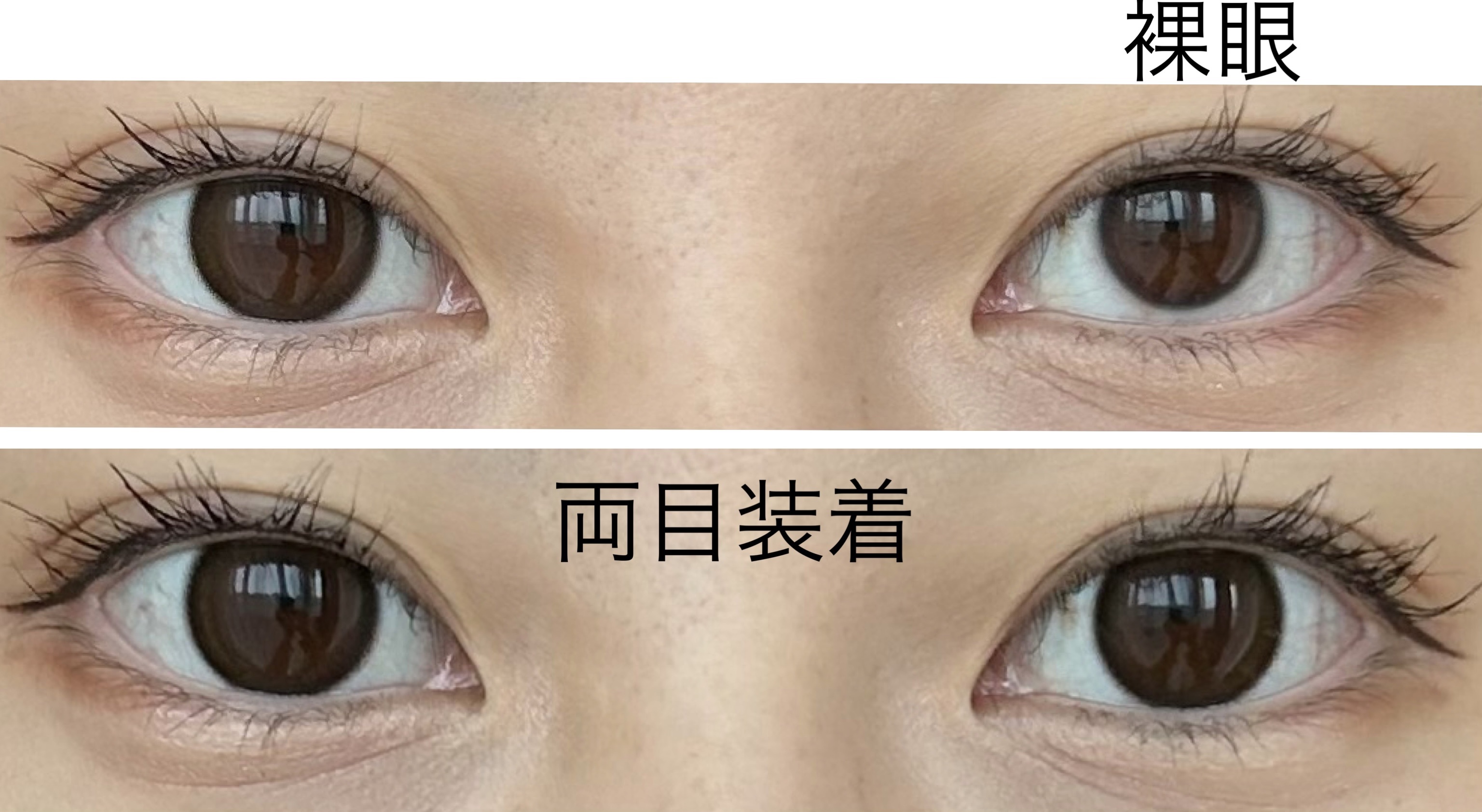 AND MEE 1day ピュア/AngelColor/ワンデー（１DAY）カラコンを使ったクチコミ（2枚目）