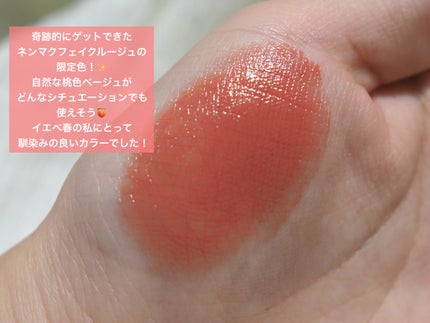 ネンマクフェイク ルージュ/Visée/口紅を使ったクチコミ(8枚目)