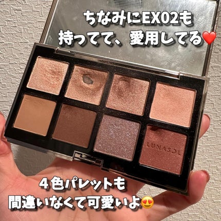 アイカラーレーション スペシャルエディション/LUNASOL/アイシャドウパレットを使ったクチコミ(6枚目)